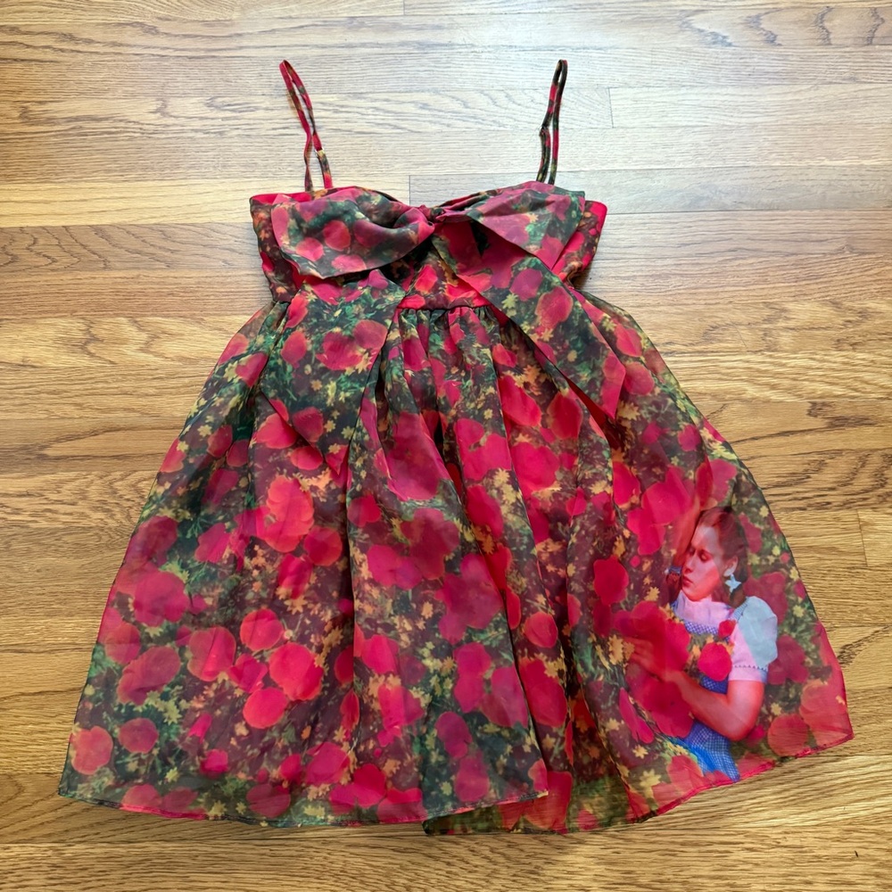 Dolls Kill wizard of Oz Dorthy poppy mini dress XXS